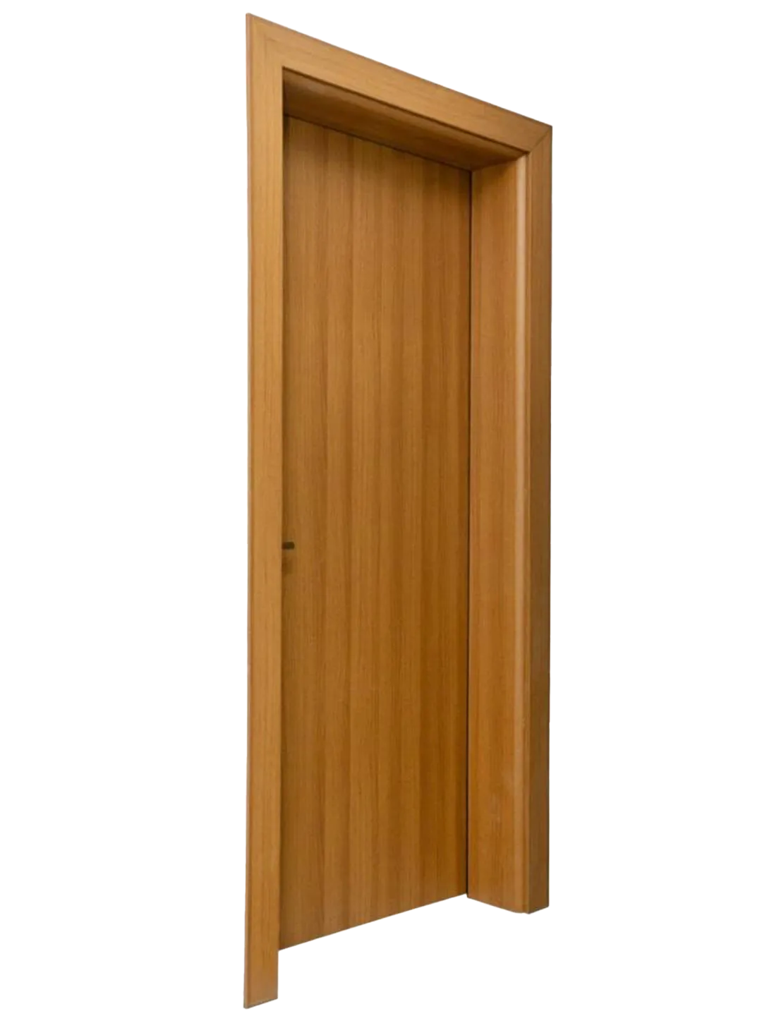 WPC Door