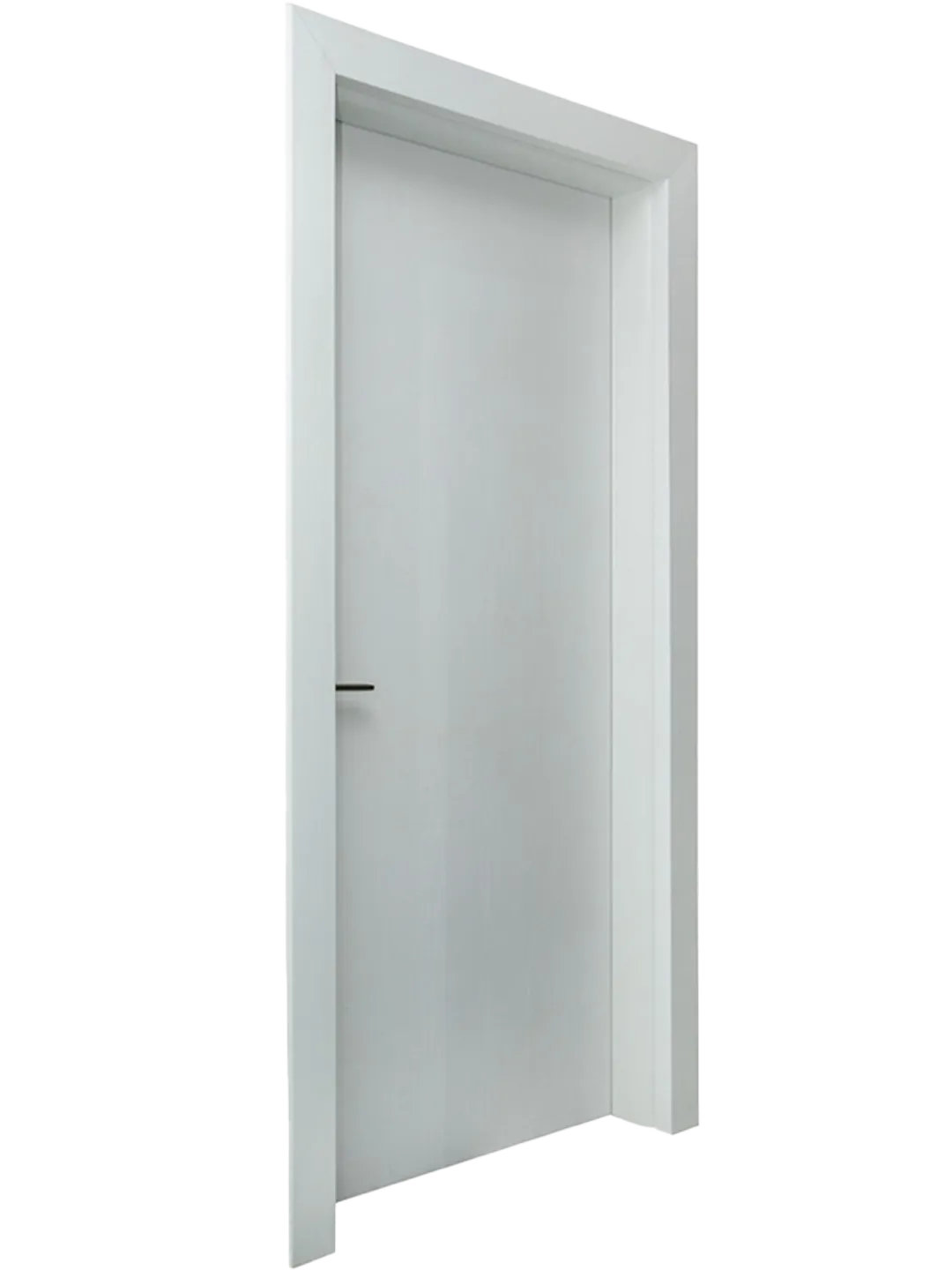WPC Door